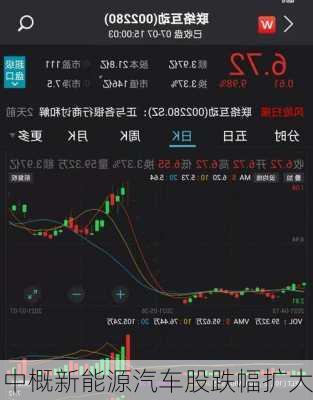 中概新能源汽车股跌幅扩大