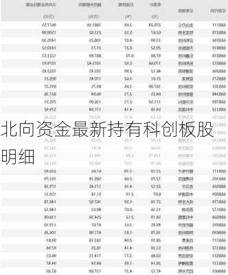 北向资金最新持有科创板股明细