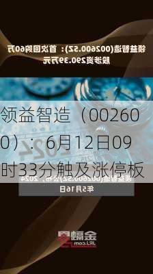 领益智造（002600）：6月12日09时33分触及涨停板