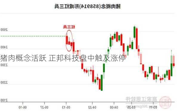 猪肉概念活跃 正邦科技盘中触及涨停