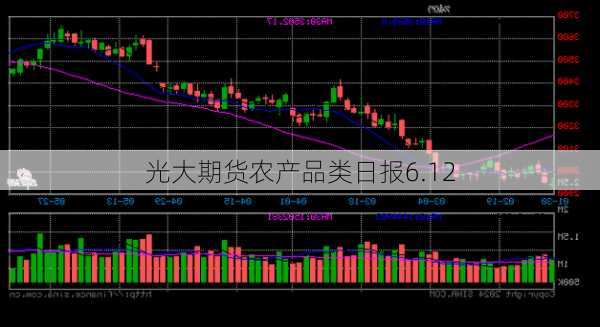 光大期货农产品类日报6.12