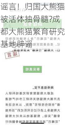 谣言！归国大熊猫被活体抽骨髓?成都大熊猫繁育研究基地辟谣