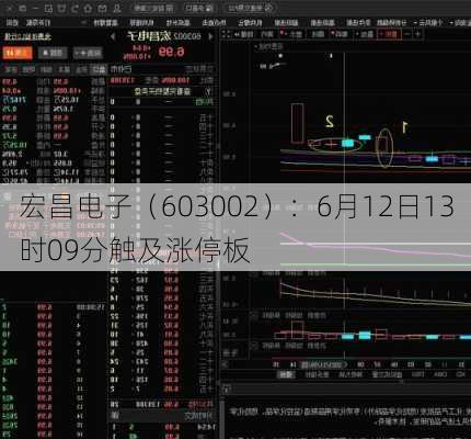 宏昌电子（603002）：6月12日13时09分触及涨停板