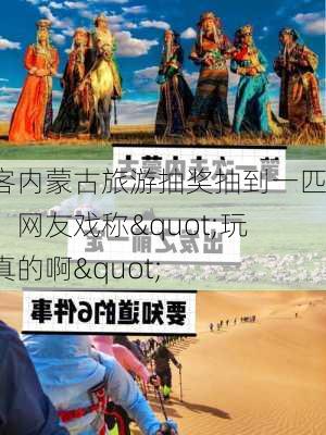 游客内蒙古旅游抽奖抽到一匹马，网友戏称