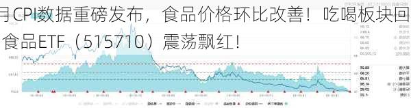 5月CPI数据重磅发布，食品价格环比改善！吃喝板块回暖，食品ETF（515710）震荡飘红！