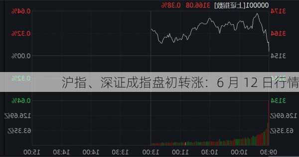 沪指、深证成指盘初转涨：6 月 12 日行情