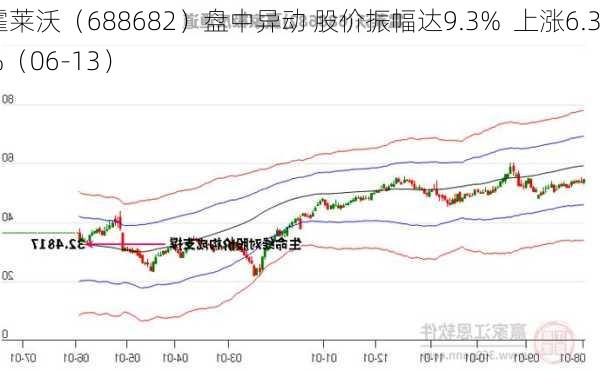 霍莱沃（688682）盘中异动 股价振幅达9.3%  上涨6.3%（06-13）