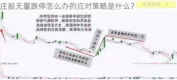 庄股无量跌停怎么办的应对策略是什么？