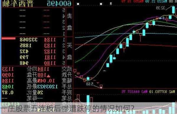 一庄股票五连板后惨遭跌停的情况如何？