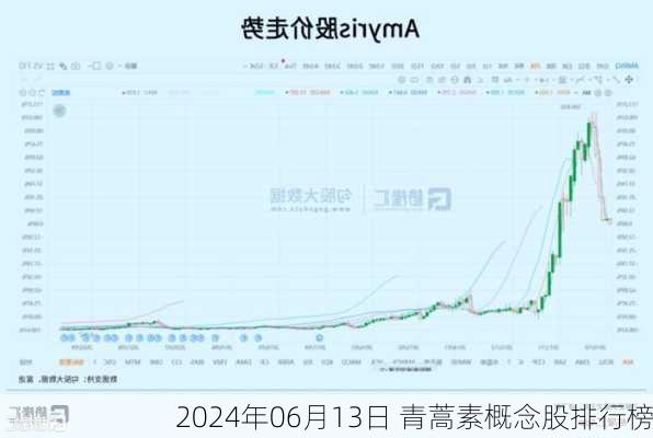 2024年06月13日 青蒿素概念股排行榜