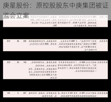 庚星股份：原控股股东中庚集团被证监会立案