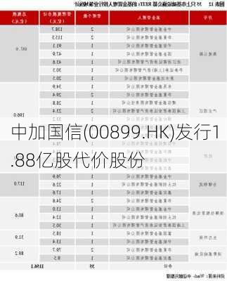 中加国信(00899.HK)发行1.88亿股代价股份