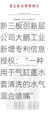 新三板创新层公司大鹏工业新增专利信息授权：“一种用于气缸盖水套清洗的水气混合喷嘴”