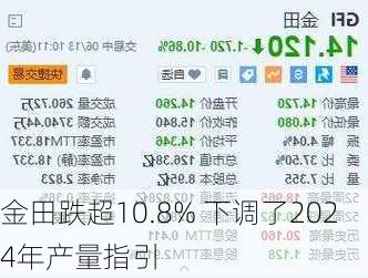 金田跌超10.8% 下调了2024年产量指引