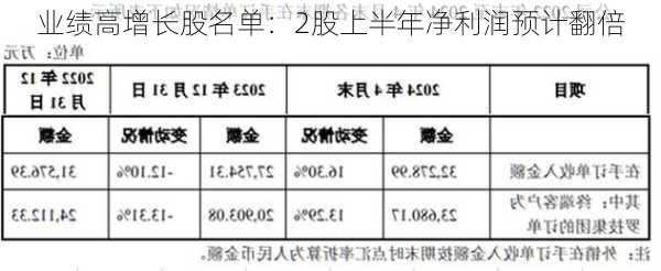 业绩高增长股名单：2股上半年净利润预计翻倍