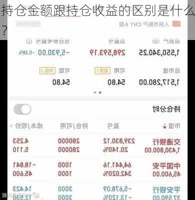 持仓金额跟持仓收益的区别是什么？