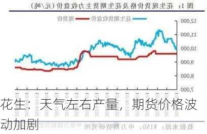 花生：天气左右产量，期货价格波动加剧