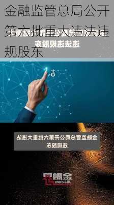 金融监管总局公开第六批重大违法违规股东