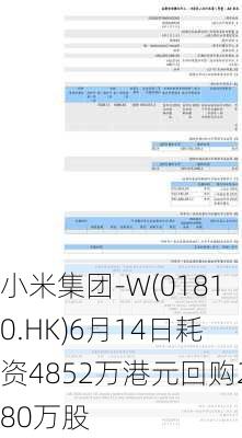 小米集团-W(01810.HK)6月14日耗资4852万港元回购280万股