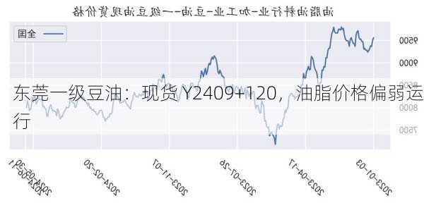 东莞一级豆油：现货 Y2409+120，油脂价格偏弱运行