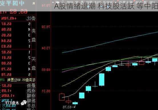 A股情绪退潮 科技股活跃 等中阳