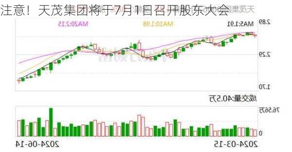 注意！天茂集团将于7月1日召开股东大会