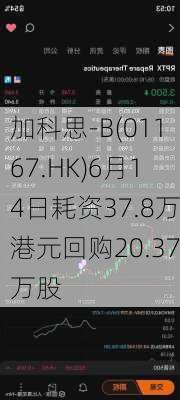 加科思-B(01167.HK)6月14日耗资37.8万港元回购20.37万股