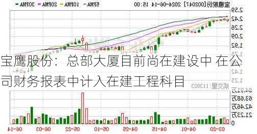 宝鹰股份：总部大厦目前尚在建设中 在公司财务报表中计入在建工程科目