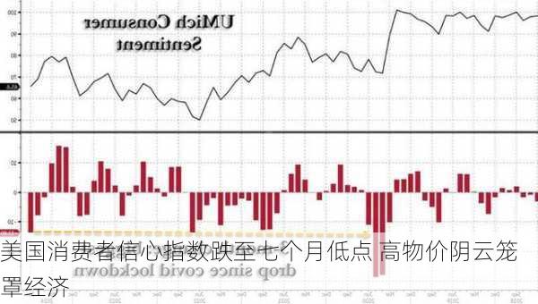 美国消费者信心指数跌至七个月低点 高物价阴云笼罩经济