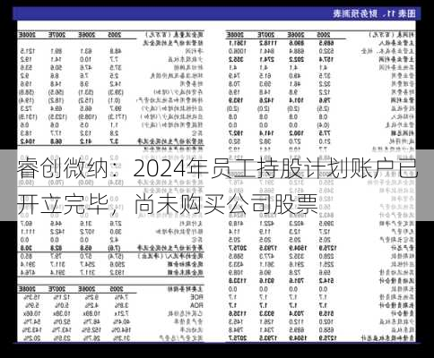 睿创微纳：2024年员工持股计划账户已开立完毕，尚未购买公司股票