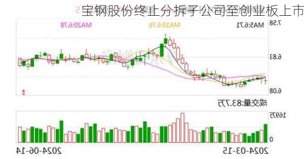 宝钢股份终止分拆子公司至创业板上市