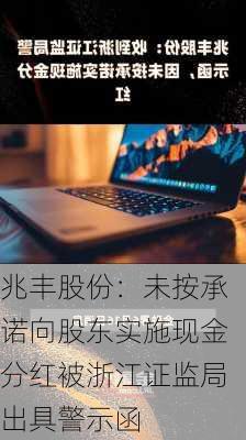 兆丰股份：未按承诺向股东实施现金分红被浙江证监局出具警示函