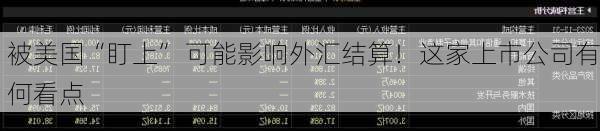 被美国“盯上” 可能影响外汇结算！这家上市公司有何看点