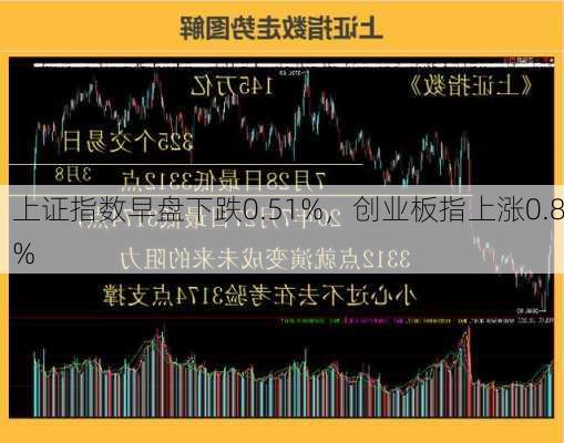 上证指数早盘下跌0.51%，创业板指上涨0.8%