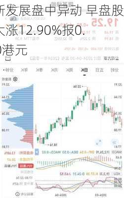 丽新发展盘中异动 早盘股价大涨12.90%报0.700港元