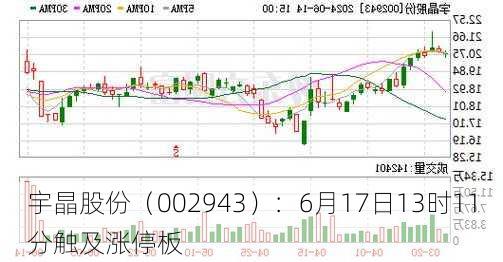 宇晶股份（002943）：6月17日13时11分触及涨停板