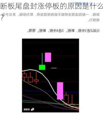 断板尾盘封涨停板的原因是什么？
