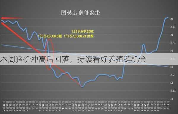 本周猪价冲高后回落，持续看好养殖链机会