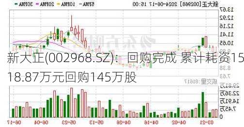 新大正(002968.SZ)：回购完成 累计耗资1518.87万元回购145万股