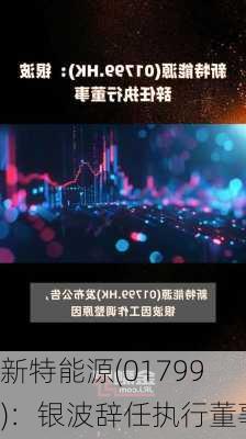 新特能源(01799)：银波辞任执行董事