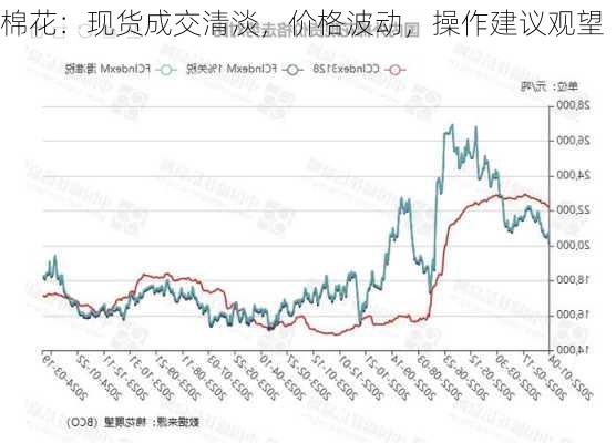 棉花：现货成交清淡，价格波动，操作建议观望