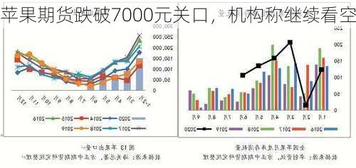 苹果期货跌破7000元关口，机构称继续看空