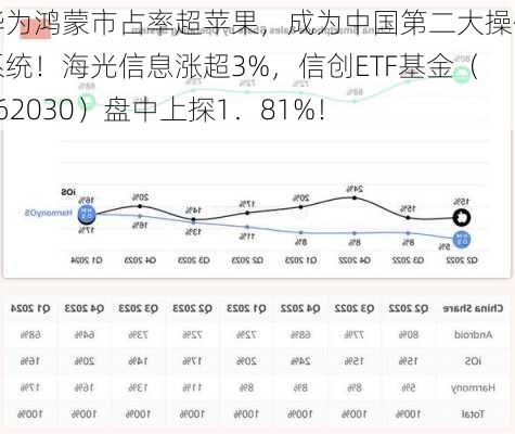 华为鸿蒙市占率超苹果，成为中国第二大操作系统！海光信息涨超3%，信创ETF基金（562030）盘中上探1．81%！