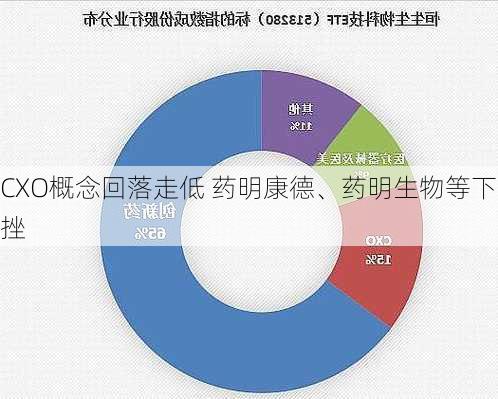 CXO概念回落走低 药明康德、药明生物等下挫