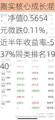 嘉实核心成长混合A：净值0.5654元微跌0.11%，近半年收益率-5.37%同类排名1940