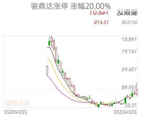 骏鼎达涨停 涨幅20.00%