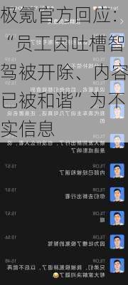 极氪官方回应：“员工因吐槽智驾被开除、内容已被和谐”为不实信息