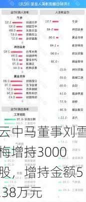 云中马董事刘雪梅增持3000股，增持金额5.38万元