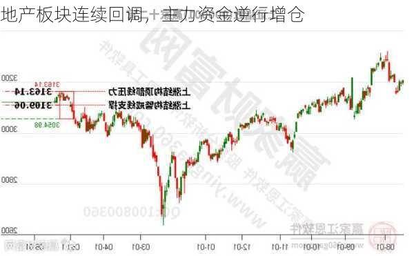 地产板块连续回调，主力资金逆行增仓