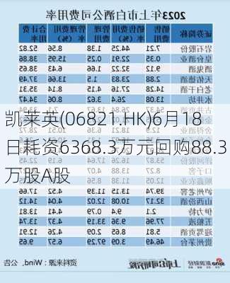 凯莱英(06821.HK)6月18日耗资6368.3万元回购88.3万股A股